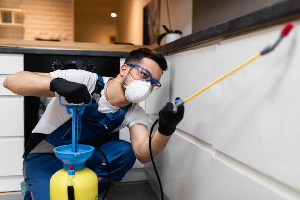 Best Best Pest Control Companies  in Norwood, NJ