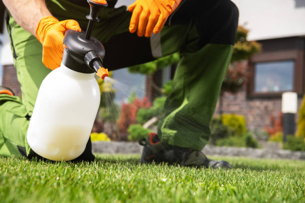 Reliable Norwood, NJ Pest Control Solutions
