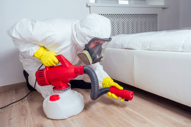Best Termite Control Services  in Norwood, NJ