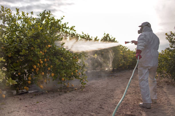 Best Pest Control Near Me  in Norwood, NJ